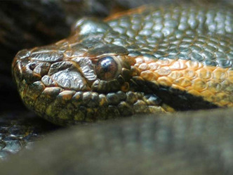 ana-04-03-2016-1457081562_storyimage